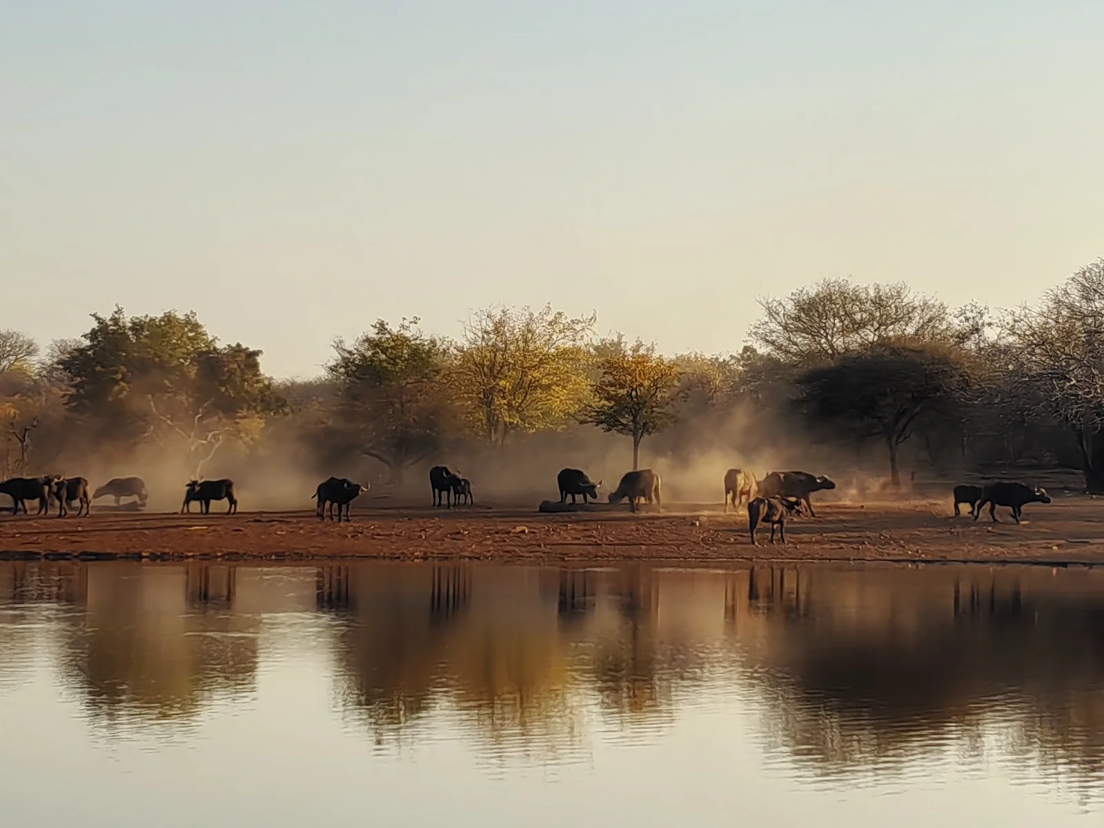Naauwkloof Safaris Hero Image